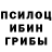 Псилоцибиновые грибы GOLDEN TEACHER Viktoriya Harchuk