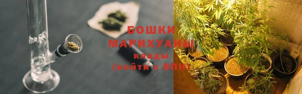 каннабис Арсеньев