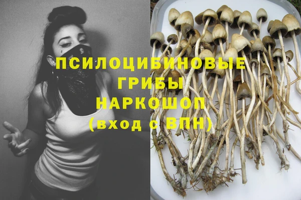 spice Баксан