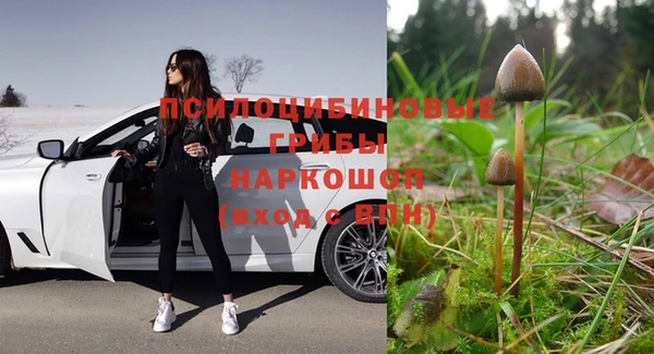 каннабис Аркадак
