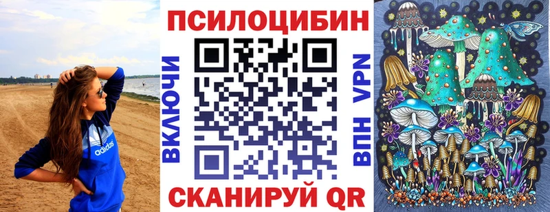ОМГ ОМГ tor  Мончегорск  Псилоцибиновые грибы мицелий 