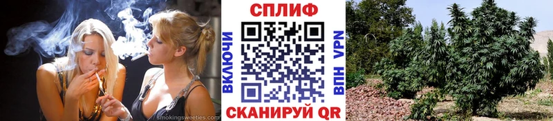 Шишки марихуана OG Kush  Мончегорск 